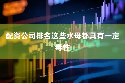 配资公司排名这些水母都具有一定毒性