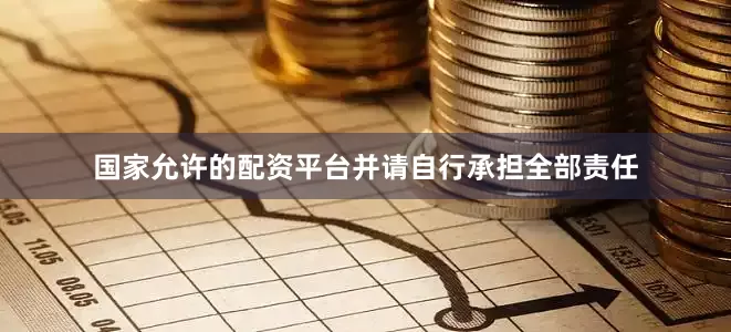 国家允许的配资平台并请自行承担全部责任