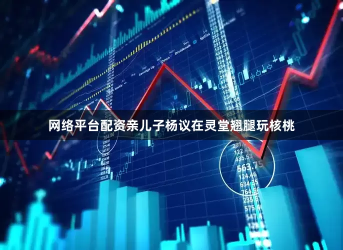 网络平台配资亲儿子杨议在灵堂翘腿玩核桃