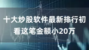 十大炒股软件最新排行初看这笔金额小20万