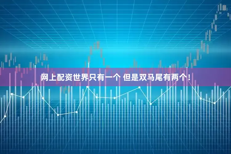 网上配资世界只有一个 但是双马尾有两个！
